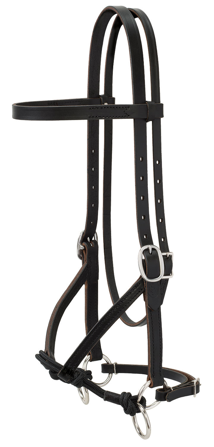 ULTIMATE BITLESS BRIDLE