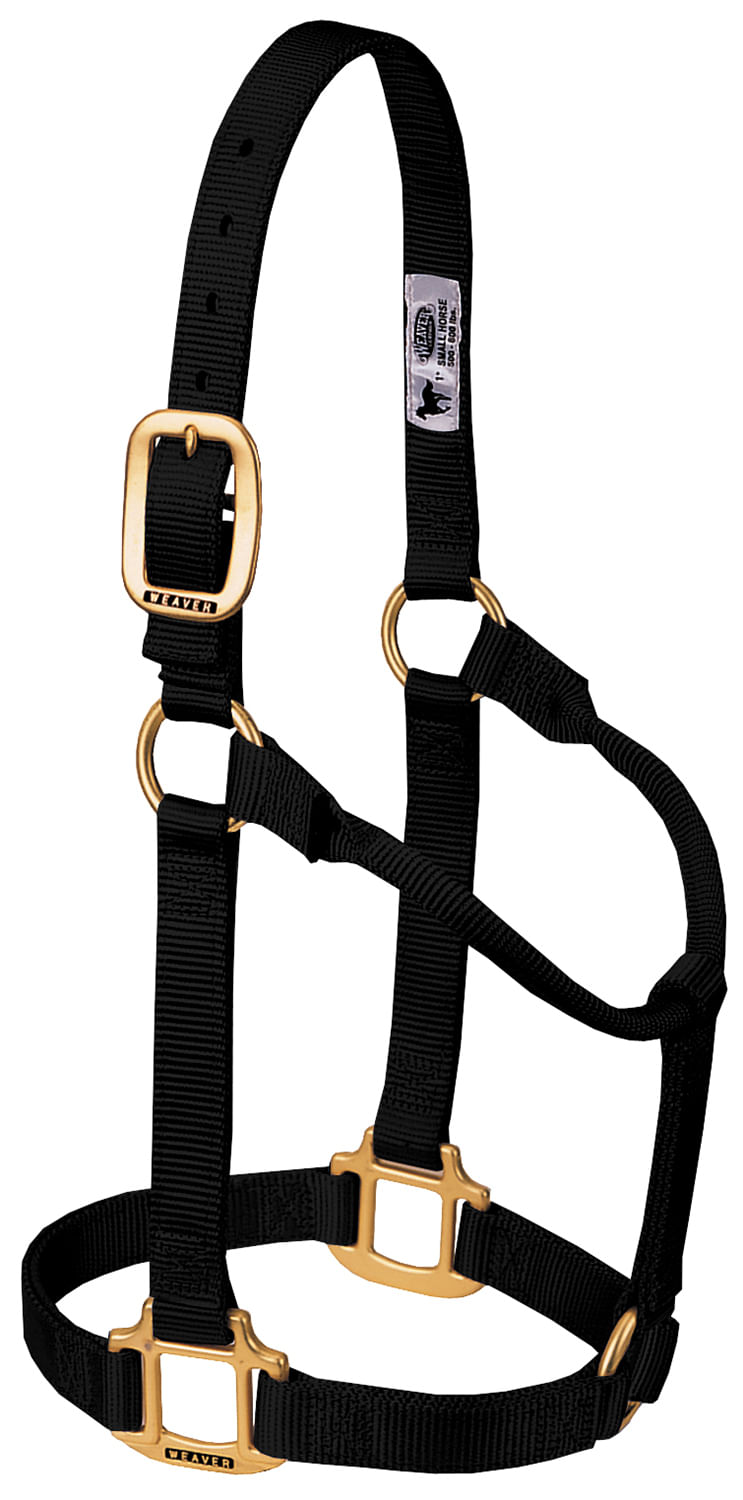 Weaver Original Nylon Horse Halter Jeffers