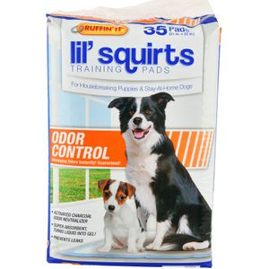 Lil' Squirts Training Pads with Activated Charcoal, 35 ct