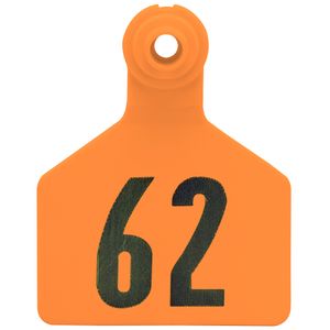 Z2 2-Piece Large Numbered Tags, Orange