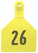 Z2-2-Piece-Numbered-Maxi-Tag-Yellow