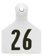 Z2-2-Piece-Large-Numbered-Tags-White