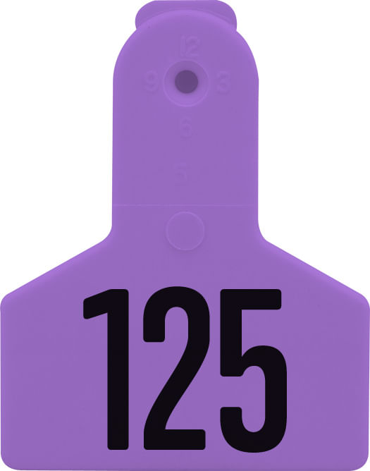 Special Order Numbered Z Tags, Small Animal Jeffers