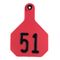 Y-Tex Numbered Ear Tags (Large), 25 count