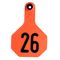 Y-Tex Numbered Ear Tags (Medium), 25 count