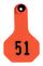 Y-Tex Numbered Ear Tags (Small), 25 count