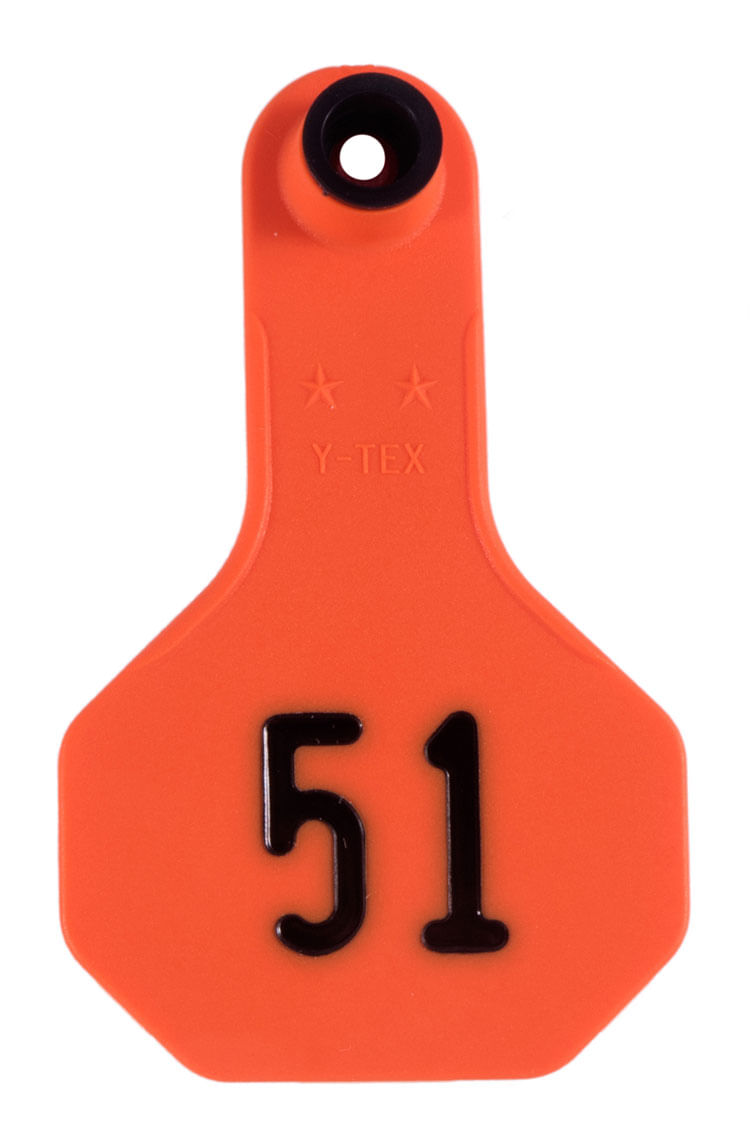 Z Tags Calf Ear Tags Orange Numbered #26-50 25 Count Easy Application 