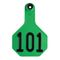 Y-Tex Numbered Ear Tags (Medium), 25 count