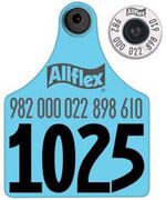 Allflex-Matched-Pair-Numbered-EID---Maxi-Tag-Sets-pkg-of-50