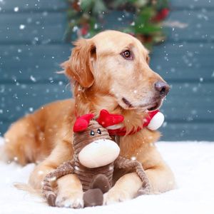 Zippy Paws Crinkle Christmas Dog Toy, Large