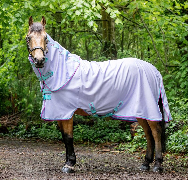 Amigo Pony Bug Rug, Lavender Jeffers