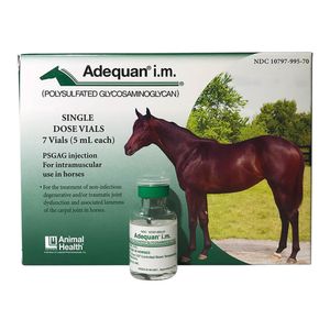 Adequan (Equine)