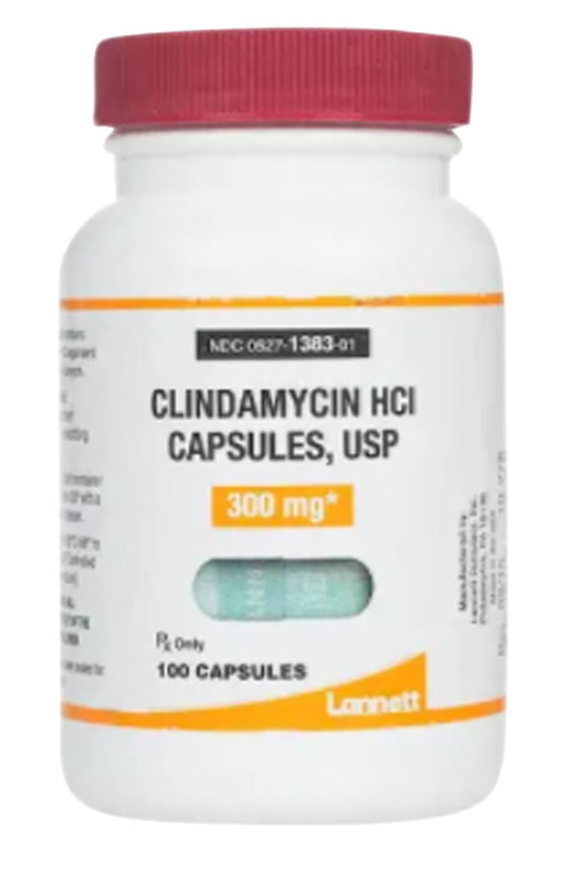 Clindamycin Capsules for Dogs - Jeffers