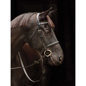 Amigo Deluxe Hunter Bridle, Full