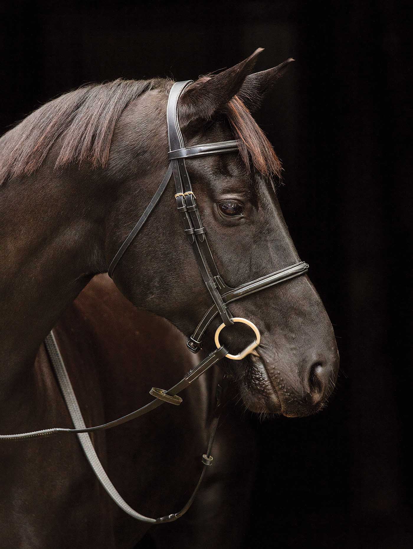 Amigo Deluxe Hunter Bridle, Full - Jeffers