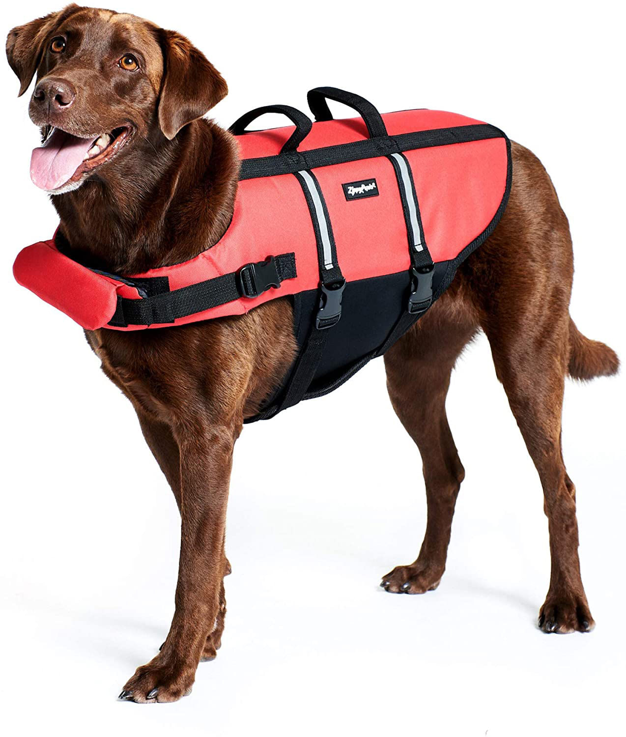 Boxer dog sale life jacket