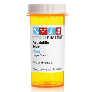 Rx Amoxicillin Tablets