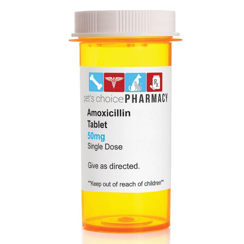 Rx Amoxicillin Tablets Jeffers
