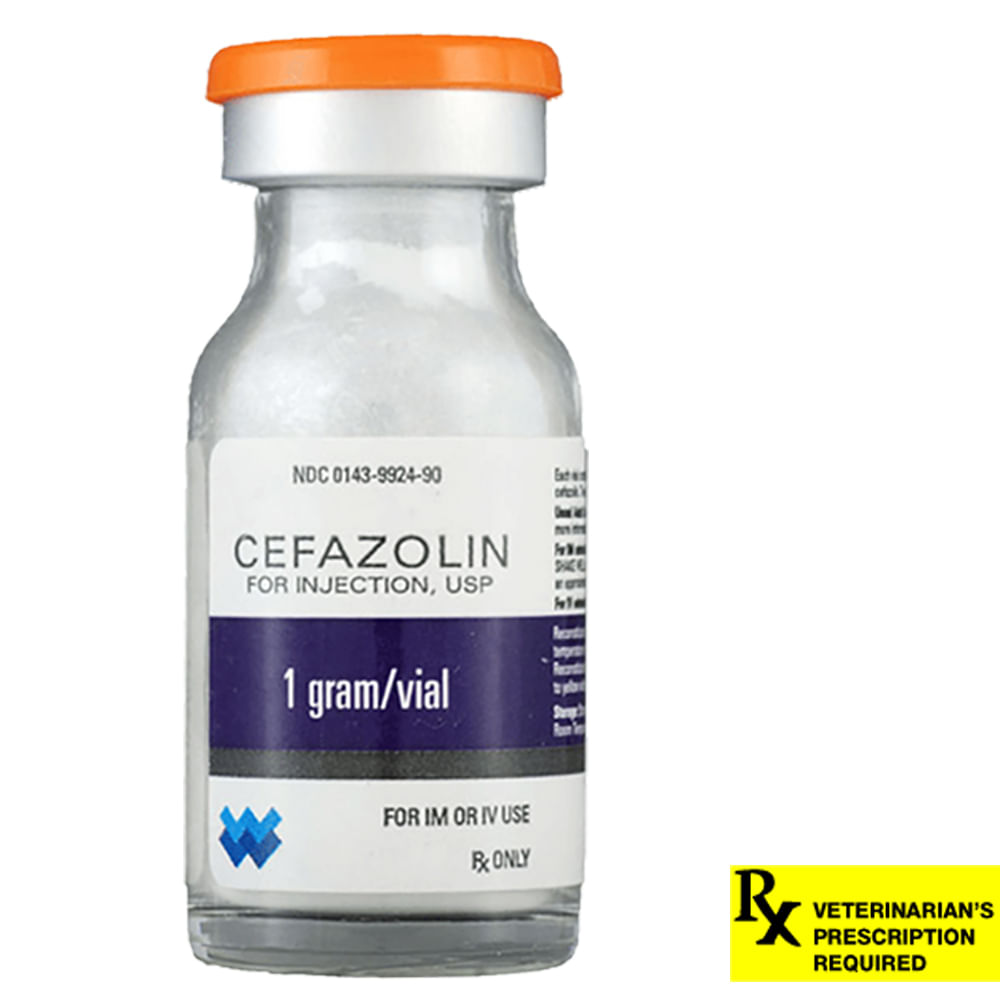 Rx Cefazolin, 1 gm Vial Jeffers