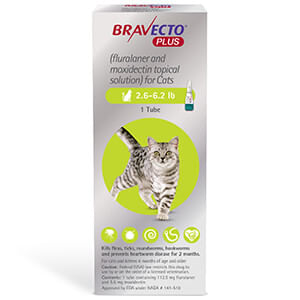 Rx Bravecto Plus Topical Cat, 2.6-6.2 lb x 1 Tube