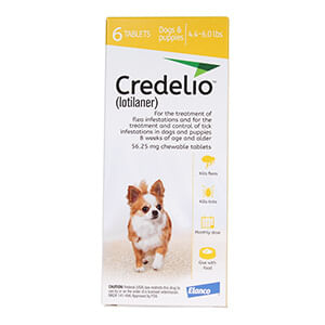 Rx Credelio Flea Tablets for Dogs