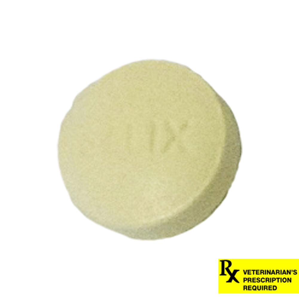 Furosemide lasix for sales dogs