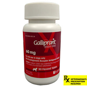 Rx Galliprant for Dogs
