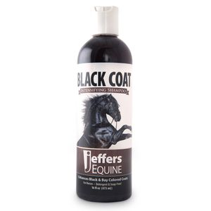 Jeffers Black Coat Shampoo for Horses