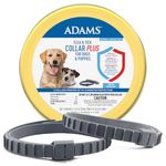 Adams-Premium-Flea-and-Tick-Collar