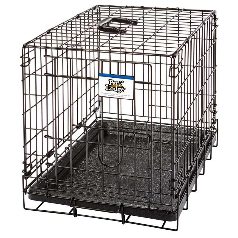 Single Door Wire Dog Crate Jeffers