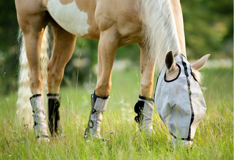 Fly wraps for clearance horses