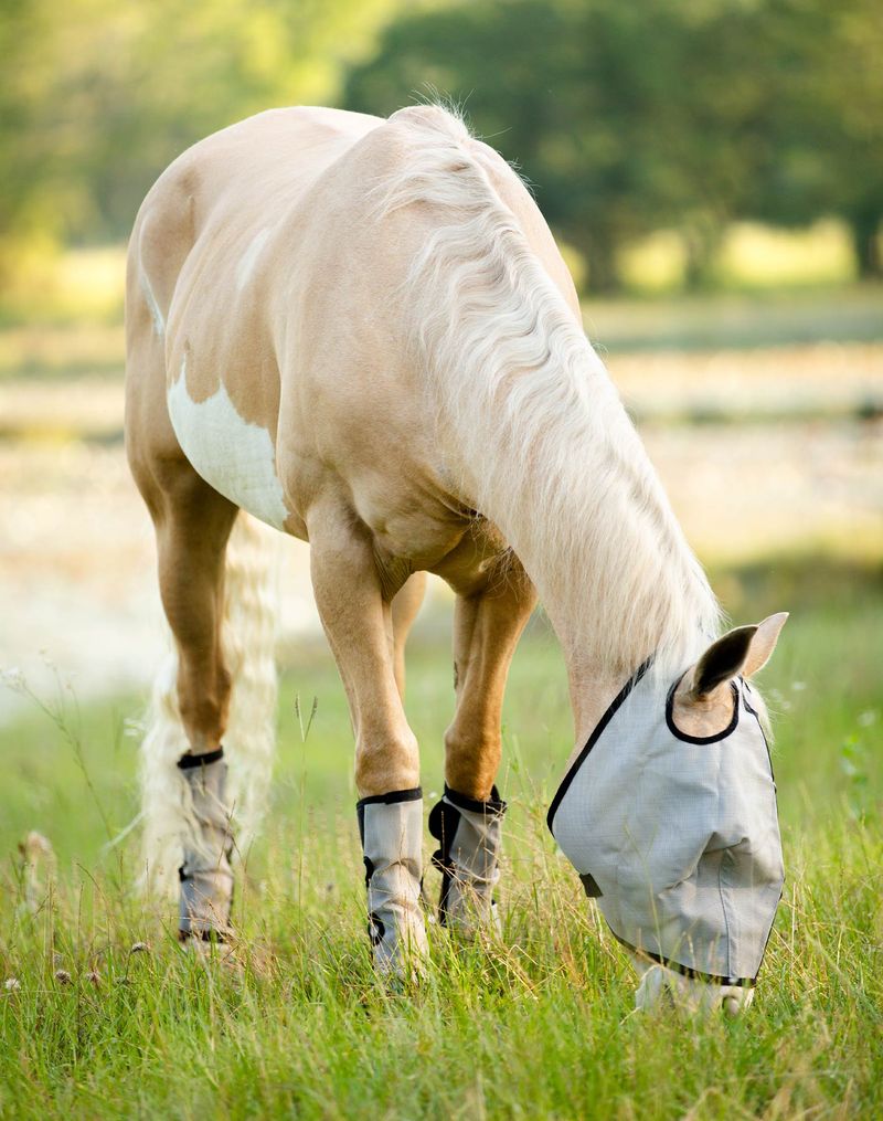 Horse leg wraps for fly outlet protection