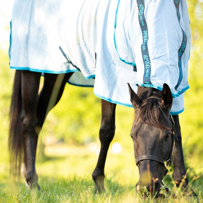 Amigo Horse Bug Rug Sheet Jeffers