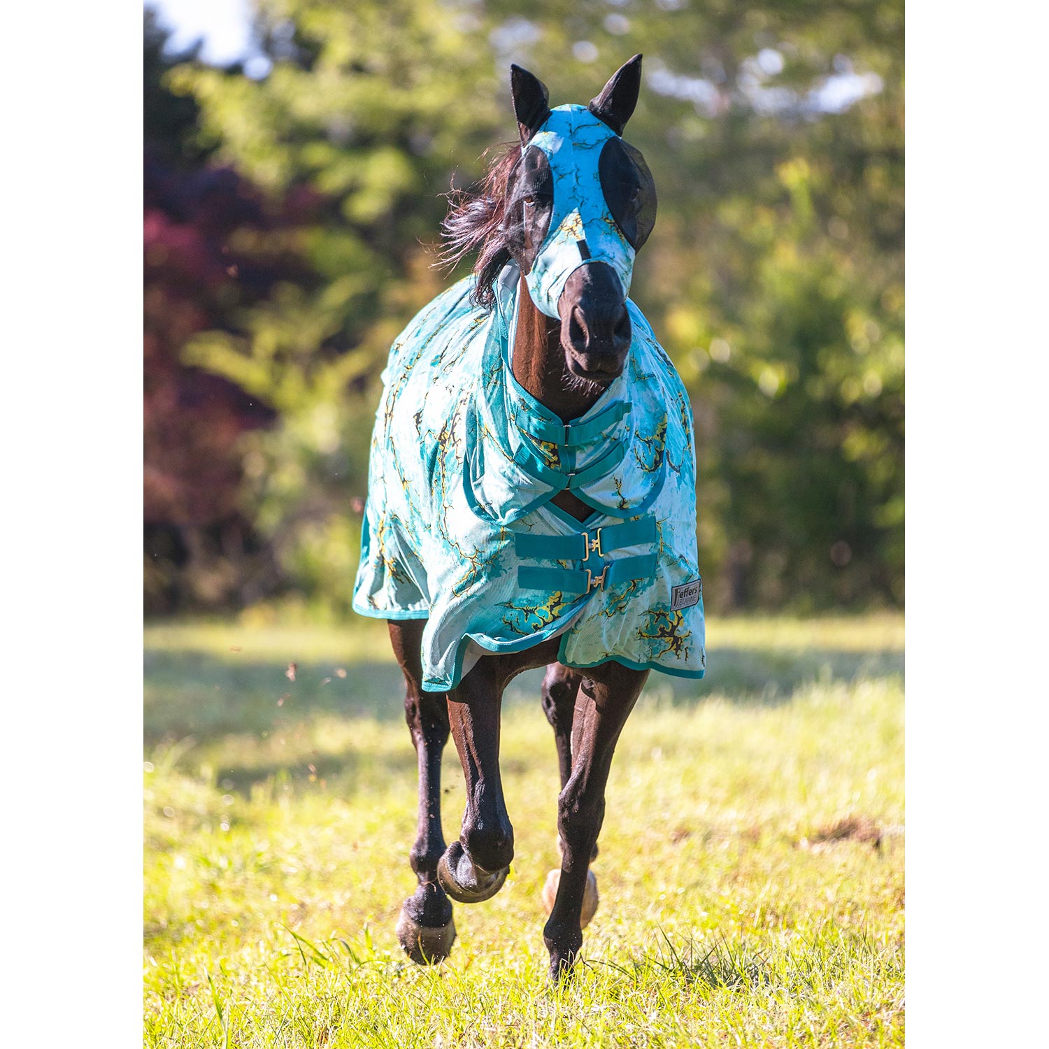 Jeffers Expression "Bisbee Blue" Combo Neck Horse Fly Sheet Jeffers