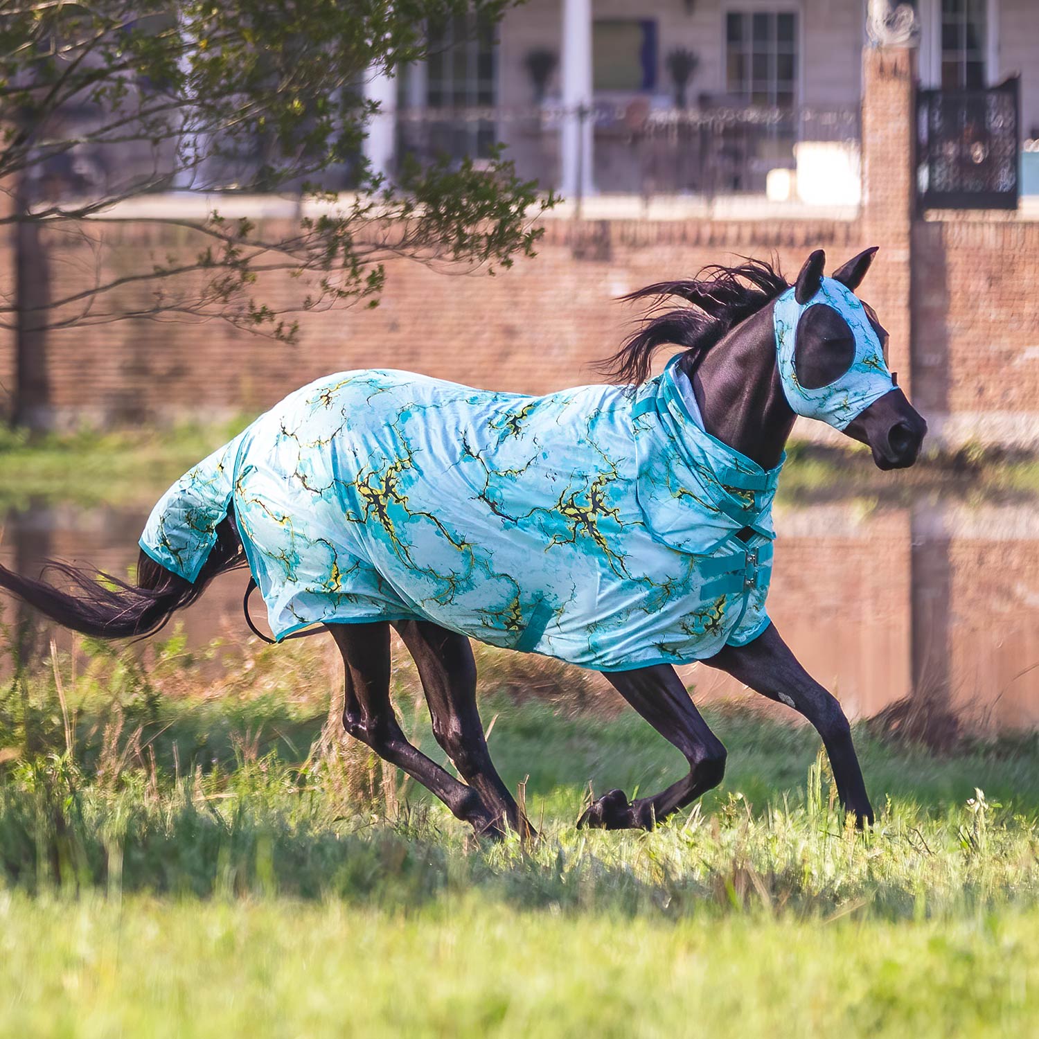 Jeffers Expression "Bisbee Blue" Combo Neck Horse Fly Sheet Jeffers