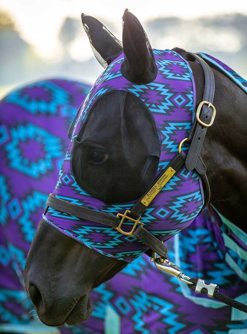 Jeffers Expression "Maya" Lycra Fly Mask with Ears Jeffers