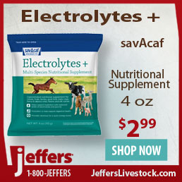 Shop JeffersLivestock.com