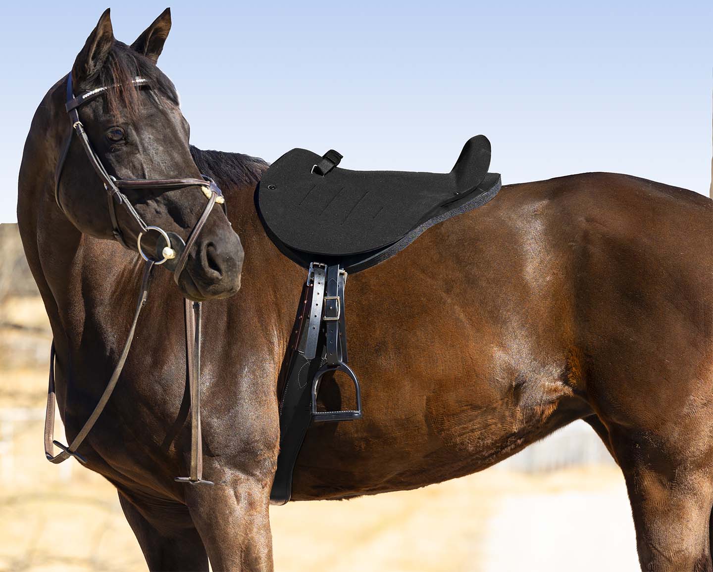 Mustang Soft Ride English Equestrian Saddle, Blk - Jeffers