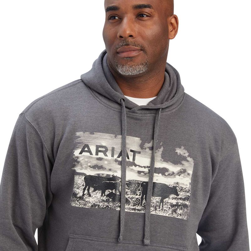 Ariat pullover 2024 mens