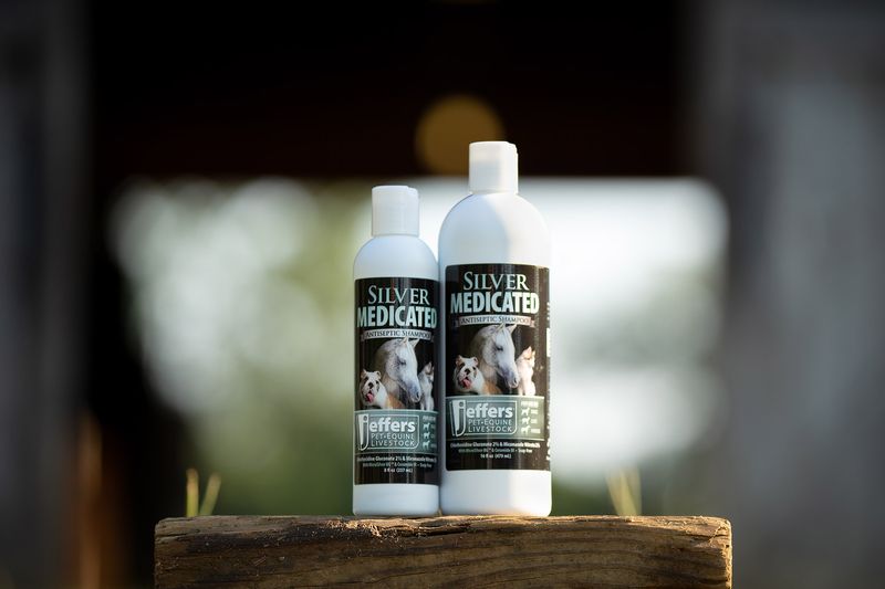16ozSilverMedAntisepticShampoo