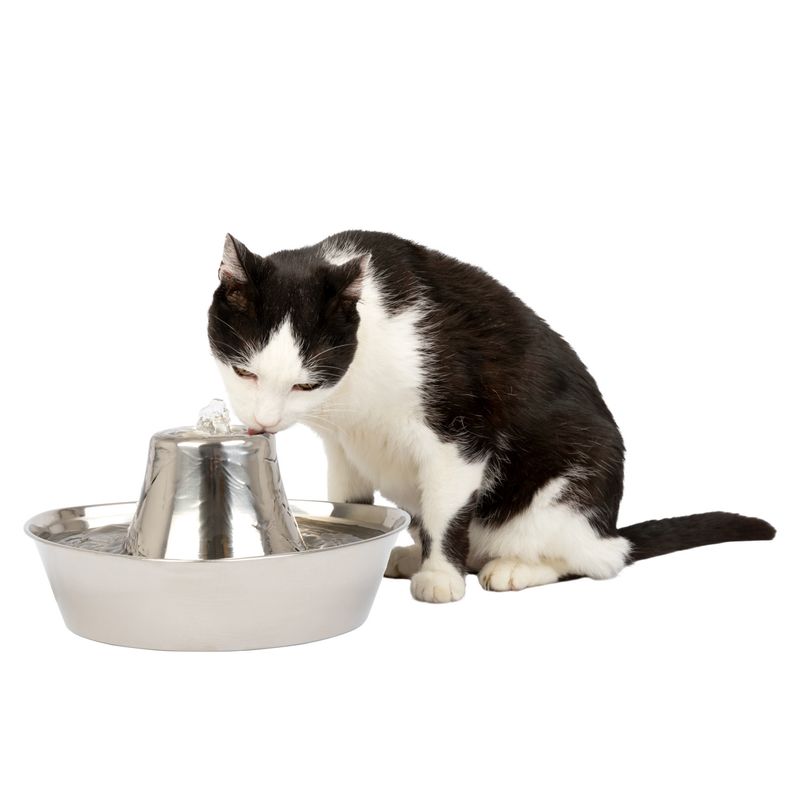 PetSafe Seaside Stainless Pet Fountain Jeffers
