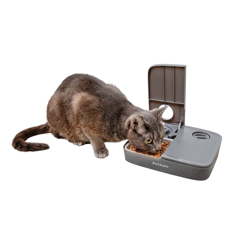 Pet safe pet clearance feeder