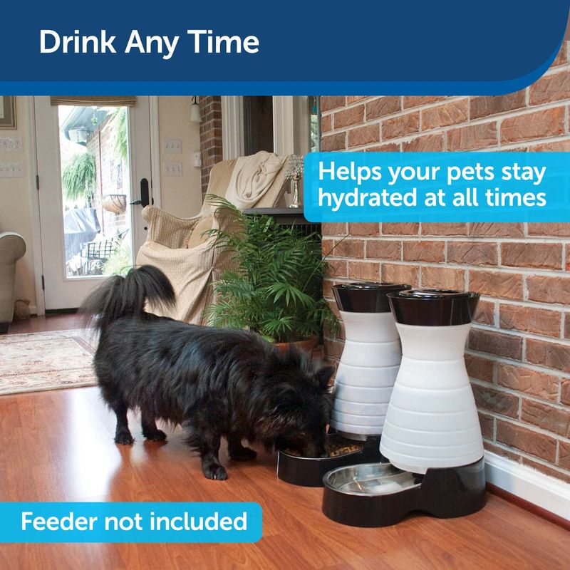 PetSafe Healthy Pet Water Station Jeffers