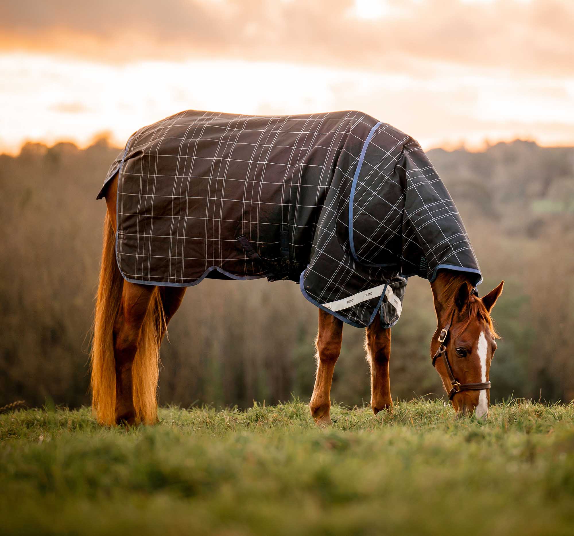 Rhino Plus Reflectech Turnout Blanket, Med Weight, Navy Jeffers