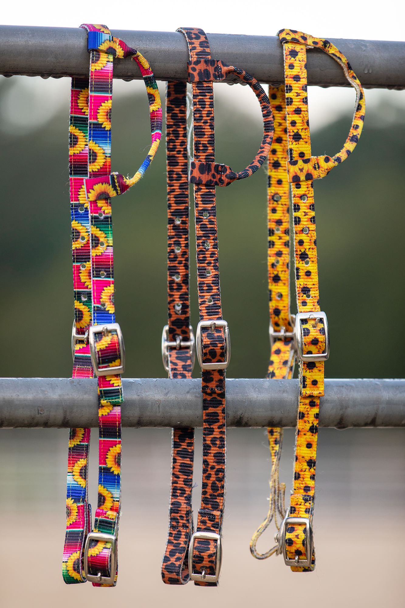 Showman Nylon One Ear Headstall in Patterns - Jeffers