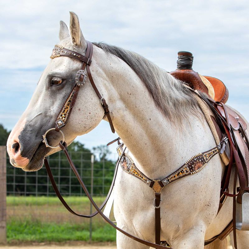 Western Horse Hair on Leather Tack Set One Ear Bridle + Breast Collar