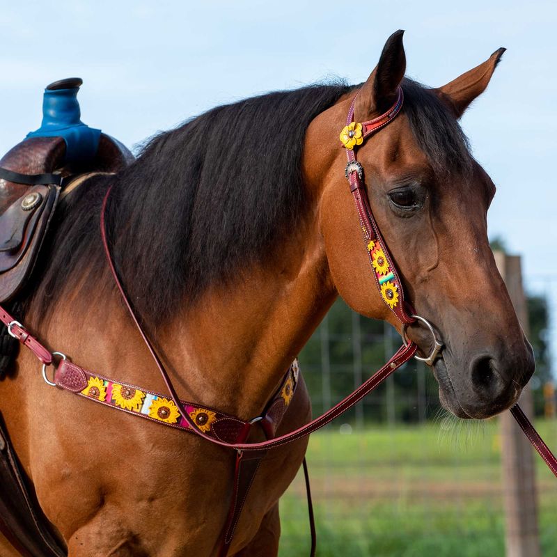 Pony Size Sunflower Print Headstall and Breast Collar Set