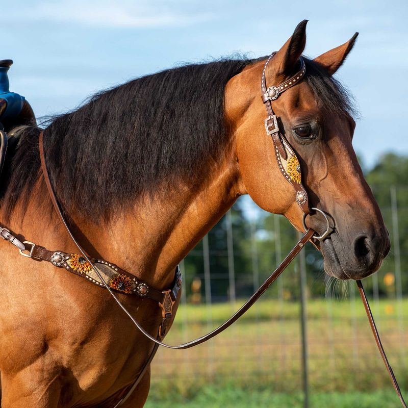 Showman Hand Painted Sunflower & Burlap Tack Set Jeffers