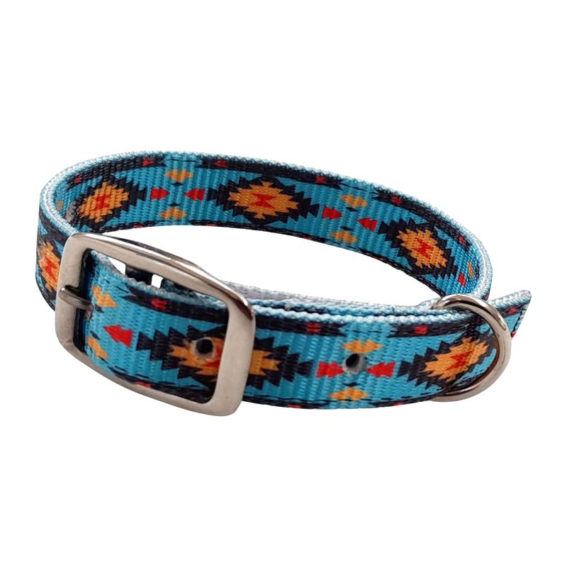 Showman Couture Teal Southwest Nylon Dog Collar with Buckle Jeffers