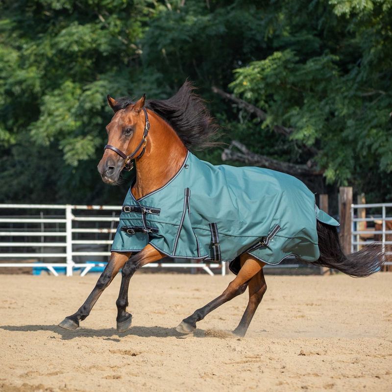 Jeffers Economy Plus 1200D "Sage Green" Horse Blanket, 240g Jeffers